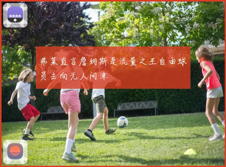 弗莱直言詹姆斯是流量之王自由球员去向无人问津